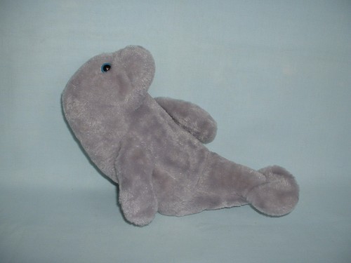 Seaworld streichelzoo zoll - 11,