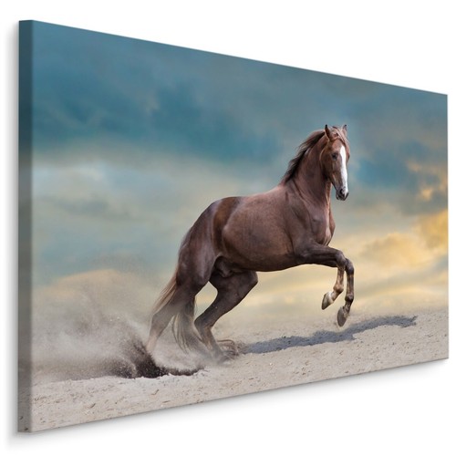 Canvas leinwand bilder xxl - leinwand,