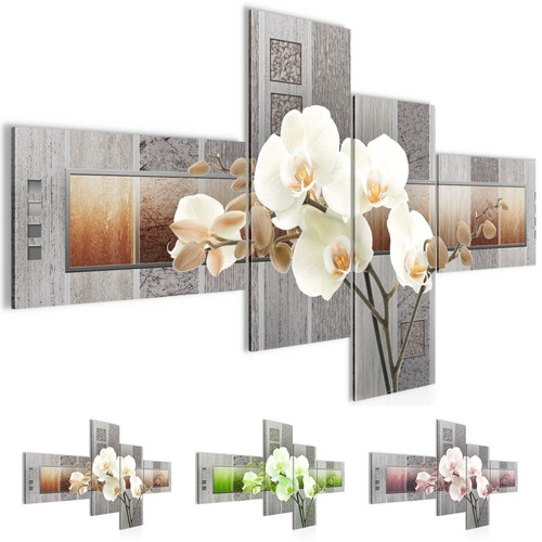 Wandbilder xxl blumen orchidee - blumen,