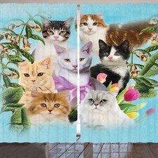 Katzenliebhaber Rustikale