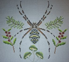 Stickbild "Wespenspinne"