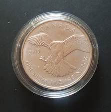 Kanada Birds of Prey 2014 -