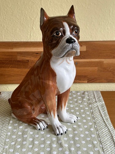 Hund bulldogge boxer welpe - bulldogge,