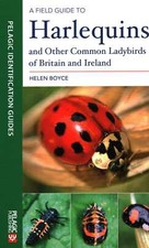 A Field Guide to Harlequins