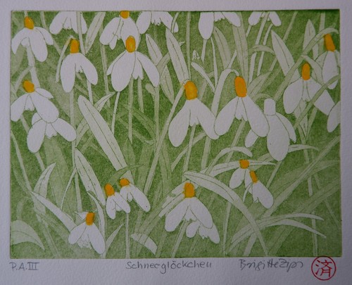 Schneeglöckchen original - schneeglöckchen,