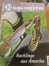 Aquaristik 5/2023