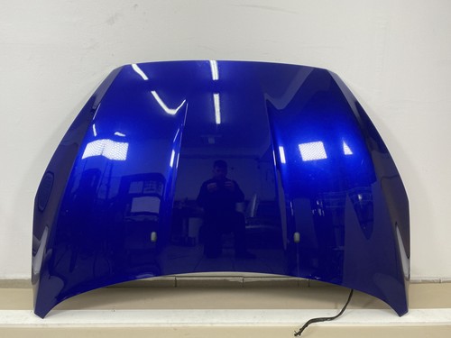 Ford focus dyb motorhaube - focus,
