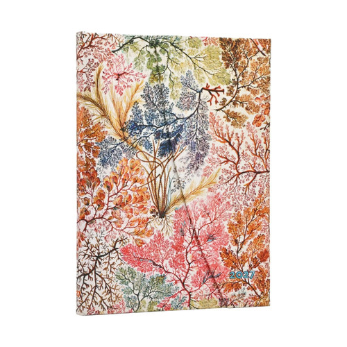 Monatskalender 2027 anemone - 12-monatskalender,