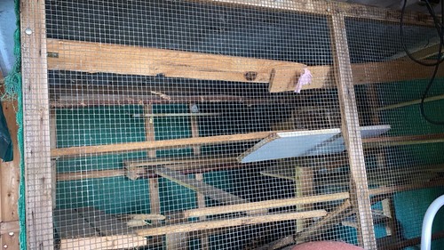 Große voliere für - für, vogel