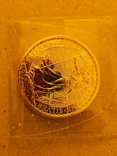 Britannia 2024 silbermünze - britannia,