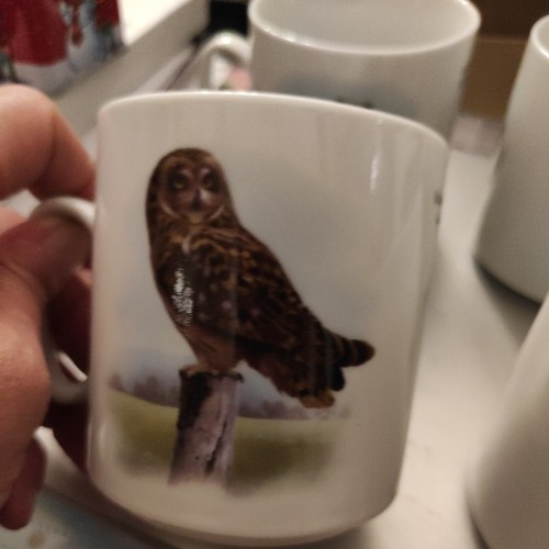 Kaffeebecher porzellan robert - kaffeebecher,