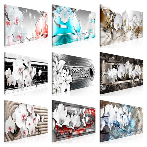 Blumen orchidee fototapete tnt - blumen,