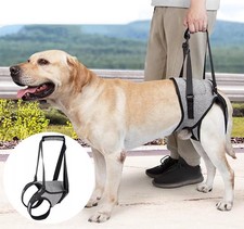 Gehhilfe Hund Hinten Rehahilfe