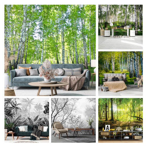 Wald natur birkenwald vlies - wald,