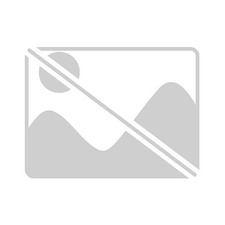 Schwarze Schilde | Buch |