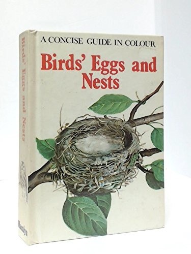 Birds eggs and - birds',