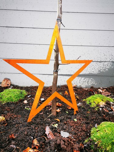 ø53cm weihnachtsstern metall - Ø53cm,