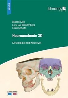 Neuroanatomie - , 3d