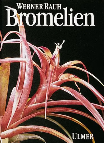 Bromelien tillandsien und - |,