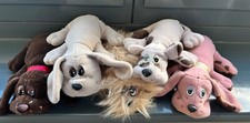 Schildkröt hund wauzi - hund, "wauzi"