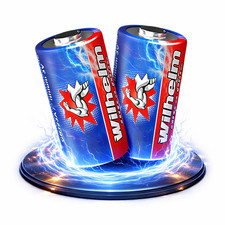 2 x Wilhelm CR2 Batterien 3V