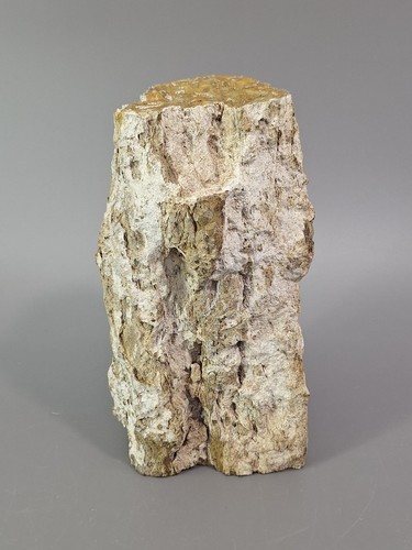 Versteinerter baumstamm - versteinerter,