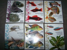 6 x Amazonas Magazin -