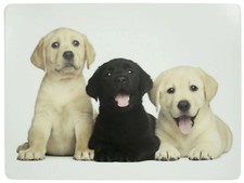 4er Set Tischsets Unterseite