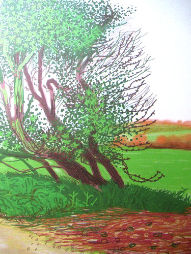 David hockney lithographie - david,