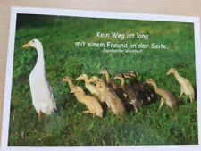 cs Postkarten 1 Postkarte