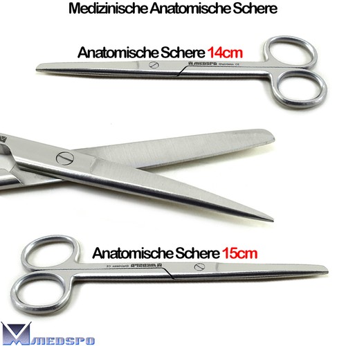 Medizinische anatomische - medizinische,