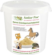 Grünlippmuschel Pulver Hund