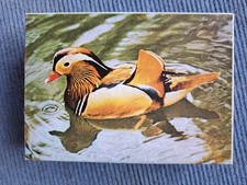 Puzzle Mandarinente, 120