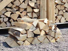 120 kg trockene Buche, Premium Kaminholz Brennholz Feuerholz Hartholz ca. 25 cm