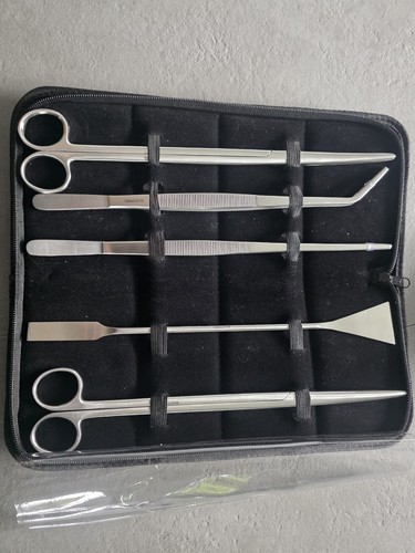 Terrarium set pinzetten - 1,