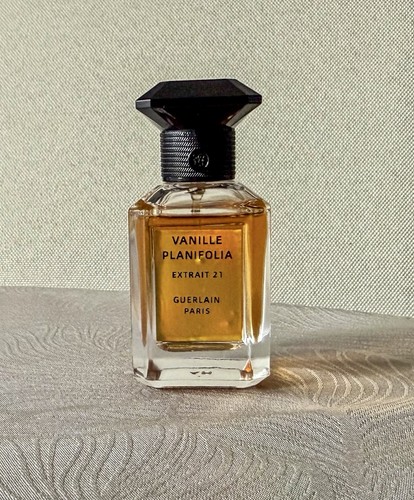 Vanille planifolia extrait - vanille,