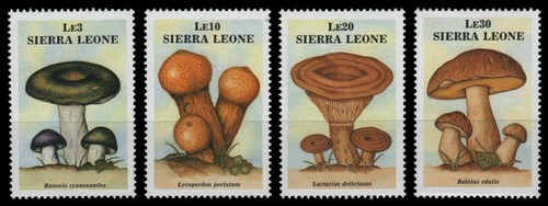 Sierra leone 1988 mi nr - leone,