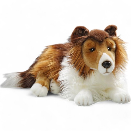 Carl dick collie - carl,