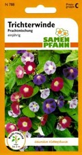 Trichterwinde bunte Prachtmischung - Prunkwinde, Impomea - Blumen Samen Saatgut