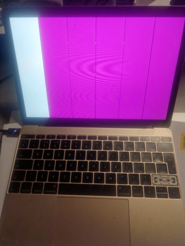 Apple macbook a1534 zoll - apple,