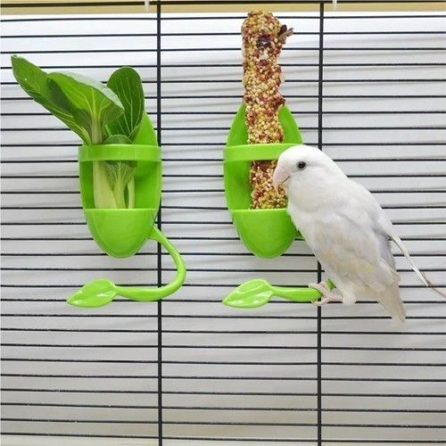 Stück vogel tintenfisch - 1,