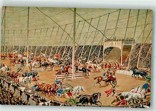 13956793 circus krone - circus,