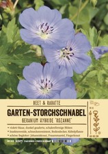 Geranium rozanne - geranium, 'rozanne