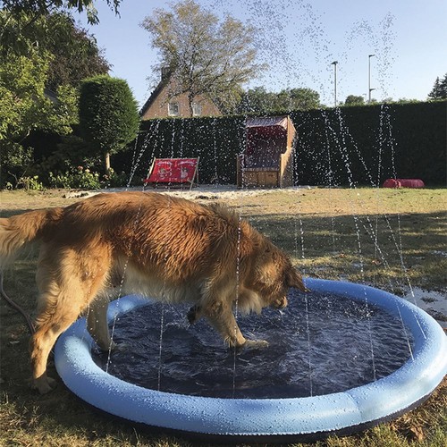 Nobby doggy splash - nobby,
