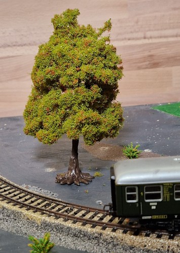 Eine kastanie kastanienbaum - kastanie,,