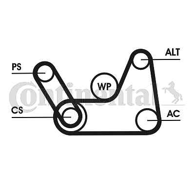 Continental ctam 6pk1019 elast - 6pk1019,