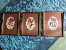 Seidenbilder Cash's Sammlerserie