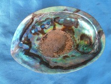 Wunderschöne große ABALONE
