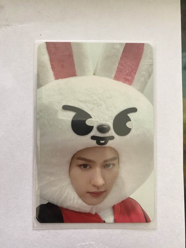 Stray kids photocard fotokarte - photocard,