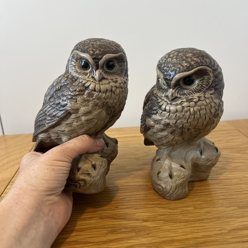 Poole pottery barbara - x,